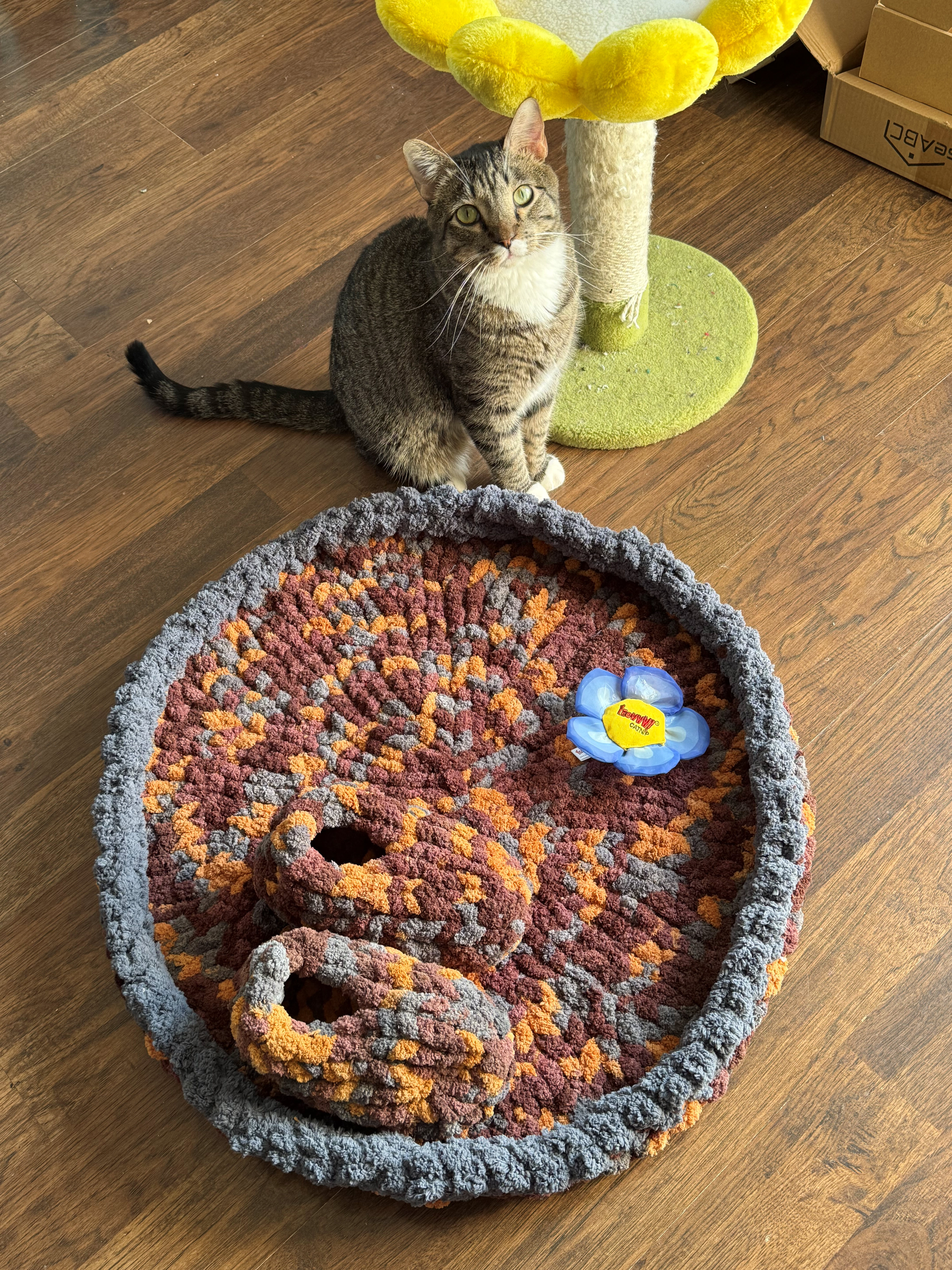 Pet Bed